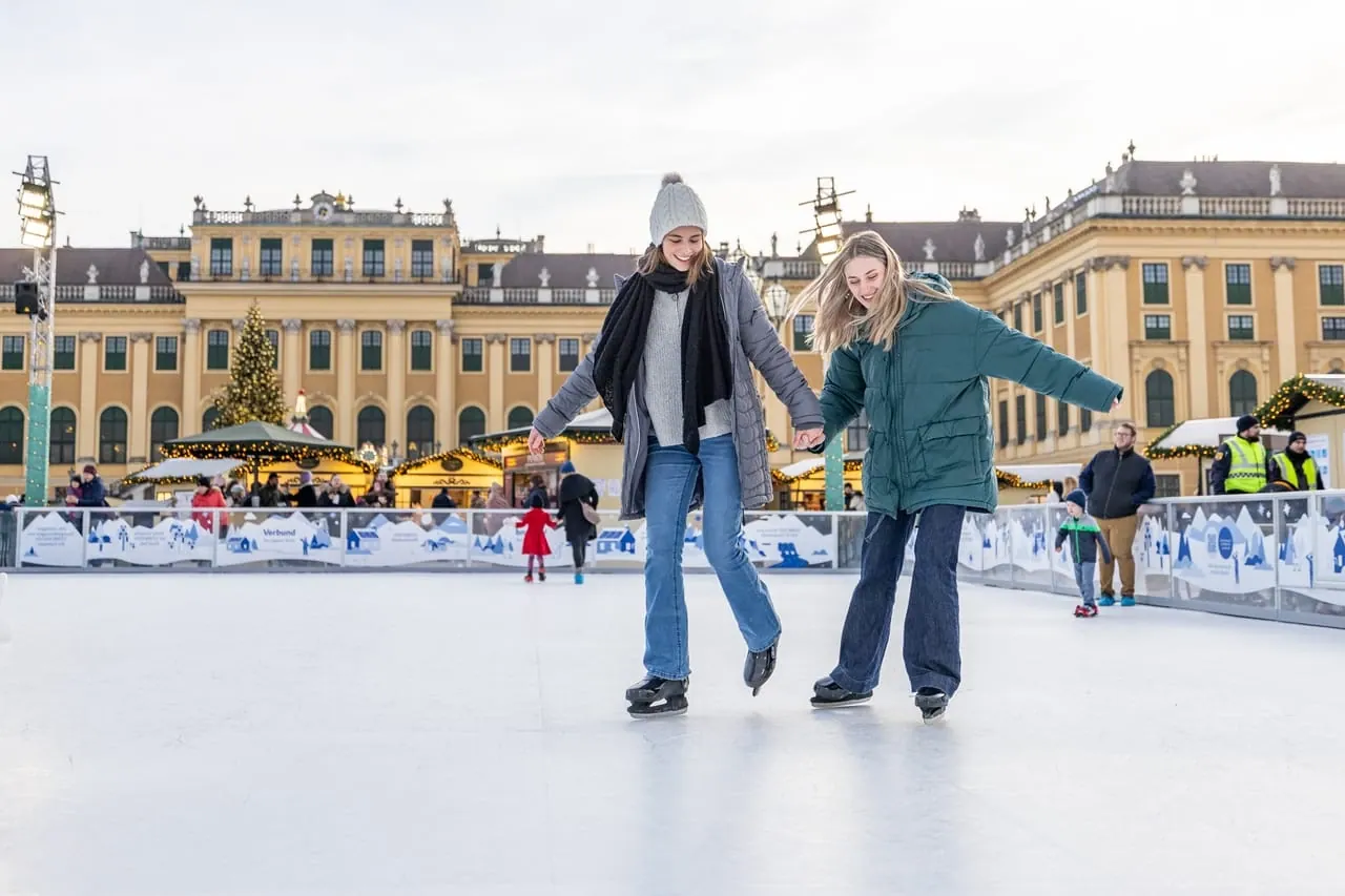 Location patinoire synthétique
