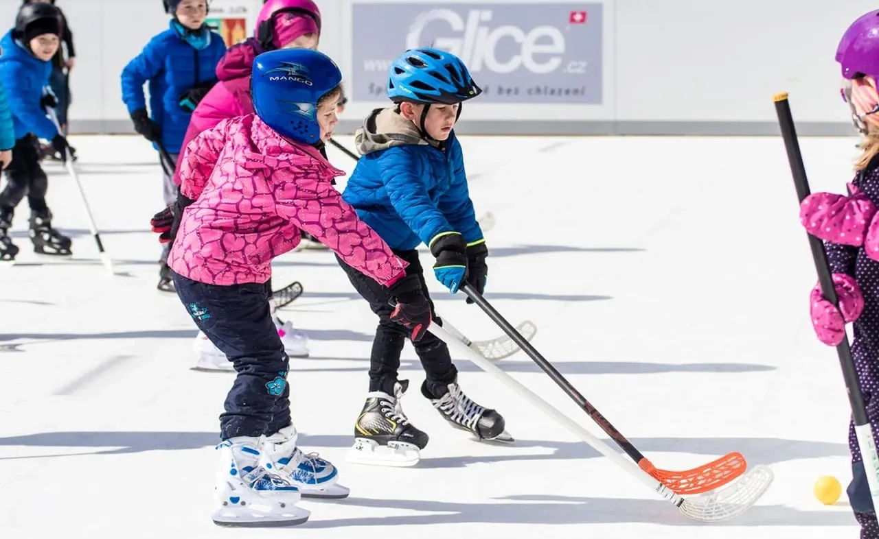 Location patinoire synthétique