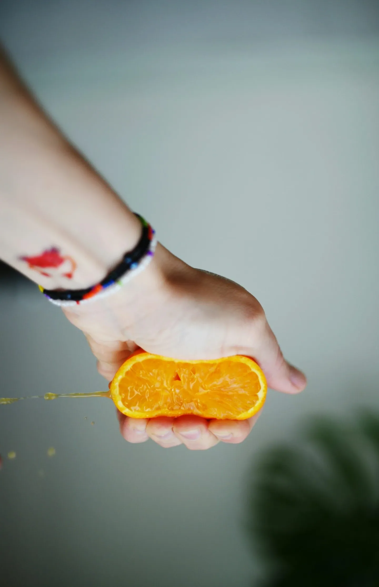 Location stand jus de fruits frais