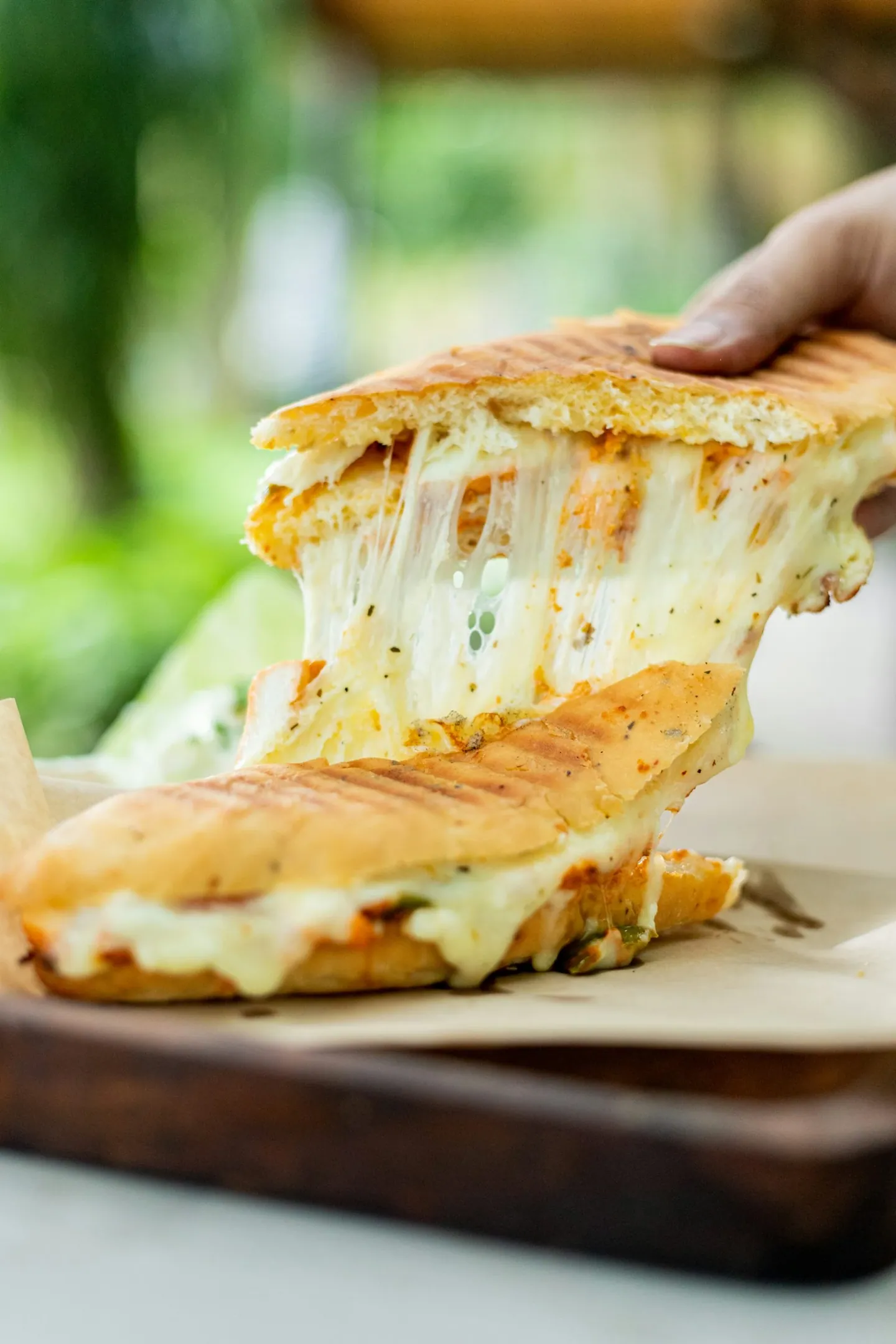 Location stand paninis