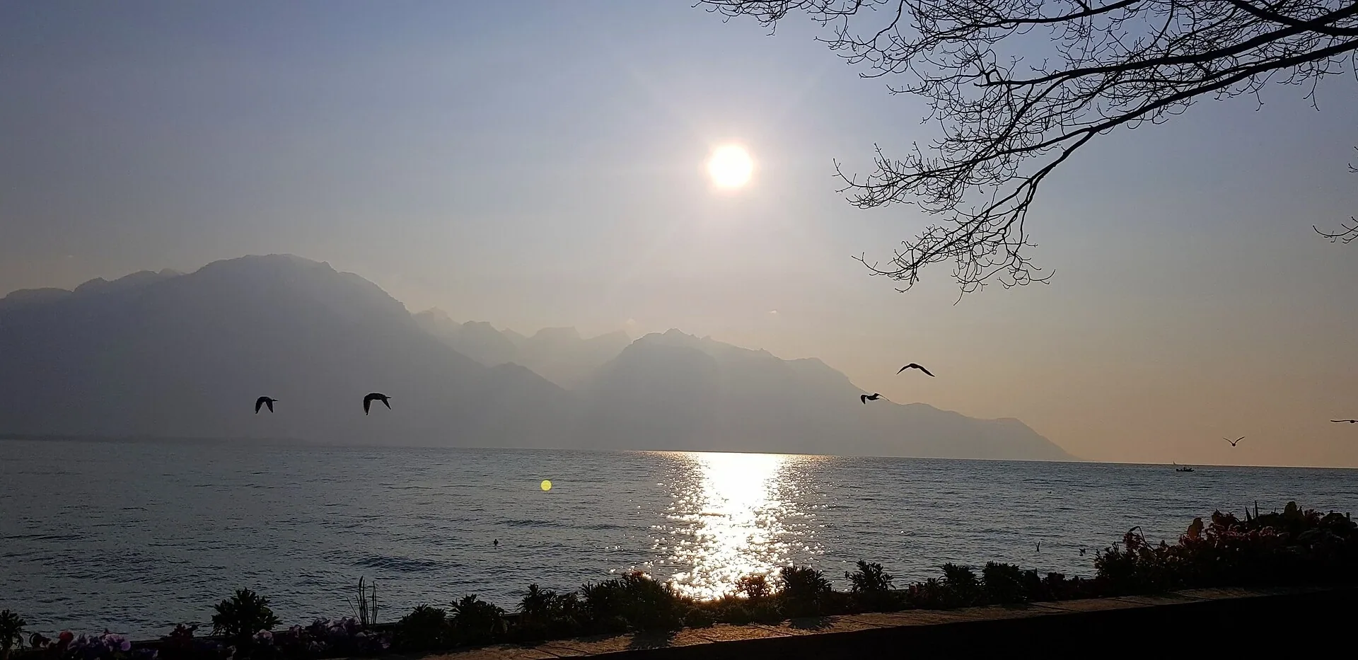 Illustration : Vue sur le lac Léman depuis Montreux, dans le canton de Vaud